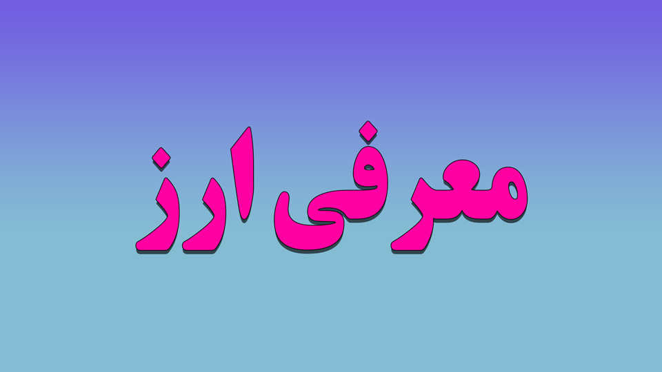 معرفی Canton